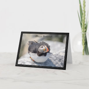 Happy Birthday Card Atlantic Puffin
