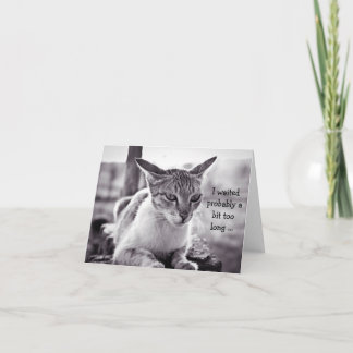 Happy Birthday Card (belated): Waiting Cat