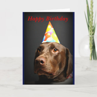 Happy Birthday card~Chocolate Lab Card