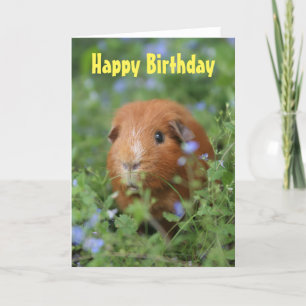 Happy Birthday card cute ginger guinea pig