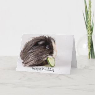 Happy Birthday card cute guinea pig eating