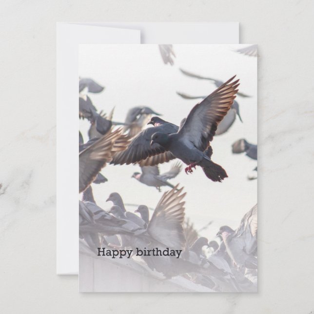 Happy Birthday Card for Pigeons (Back)
