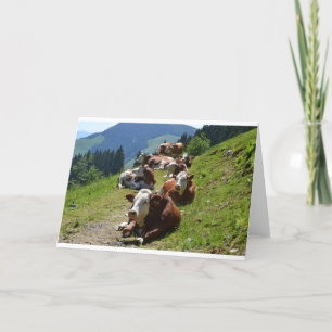 Happy Birthday Card Group Of Cows
