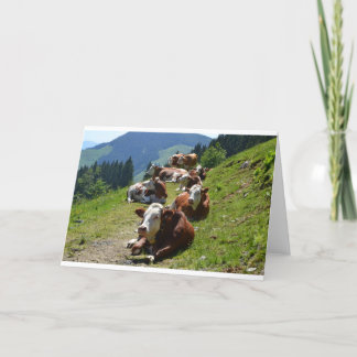 Happy Birthday Card Group Of Cows