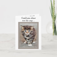 Happy Birthday Card: Lost Kitten