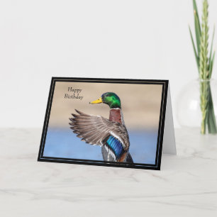 Happy Birthday Card Mallard Duck