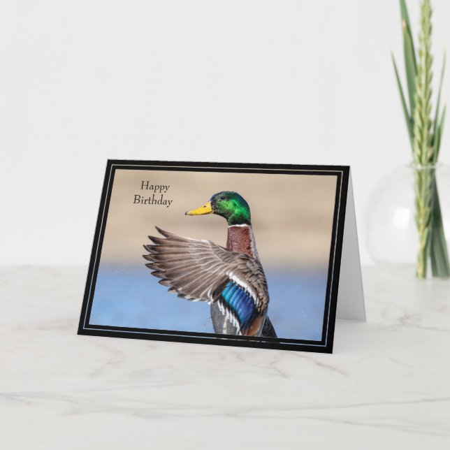 Happy Birthday Card Mallard Duck (Front)