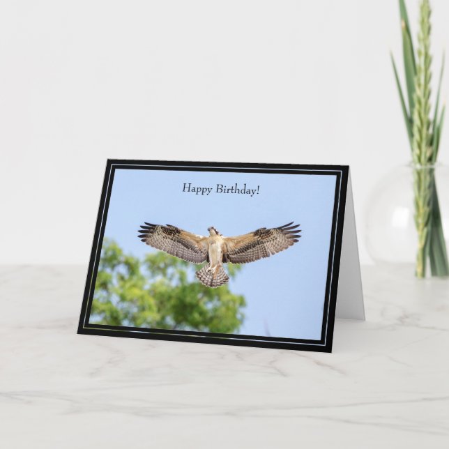 Happy Birthday Card Osprey (Front)