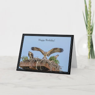 Happy Birthday Card Osprey