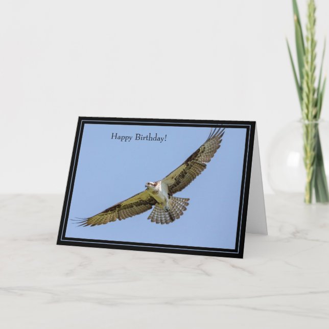 Happy Birthday Card Osprey (Front)