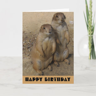 Happy Birthday card Prairie Dog