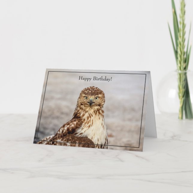 Happy Birthday Card Red-Tailed Hawk (Front)