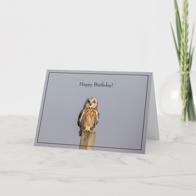 Happy Birthday Card short-eared owl (Front)
