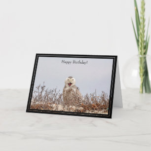 Happy Birthday Card Snowy Owl