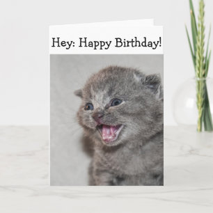 Happy Birthday Card: Surprised grey Kitten Card