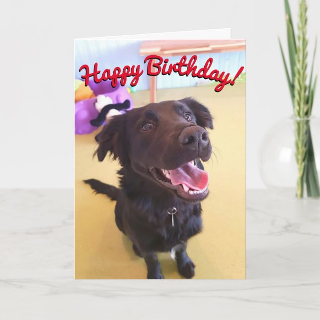 Happy Birthday Card | The Happy Boy (Front)