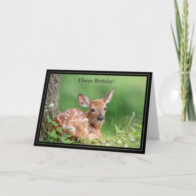 Happy Birthday Card White-Tailed Deer Fawn (Front)
