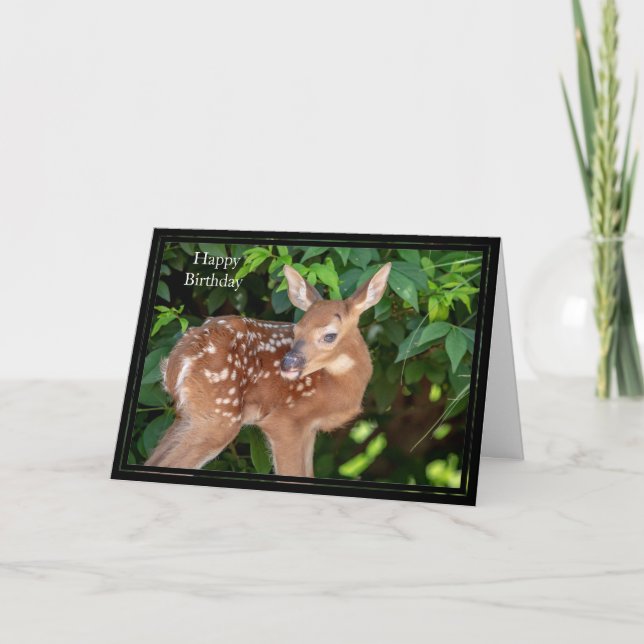 Happy Birthday Card White-Tailed Deer Fawn (Front)