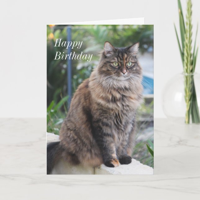 Happy Birthday. Card with beautiful cat picture. (Front)