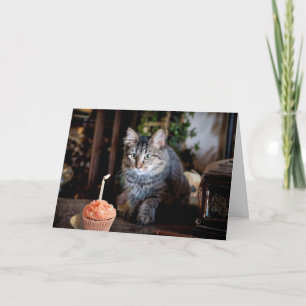 Happy Birthday card with cat