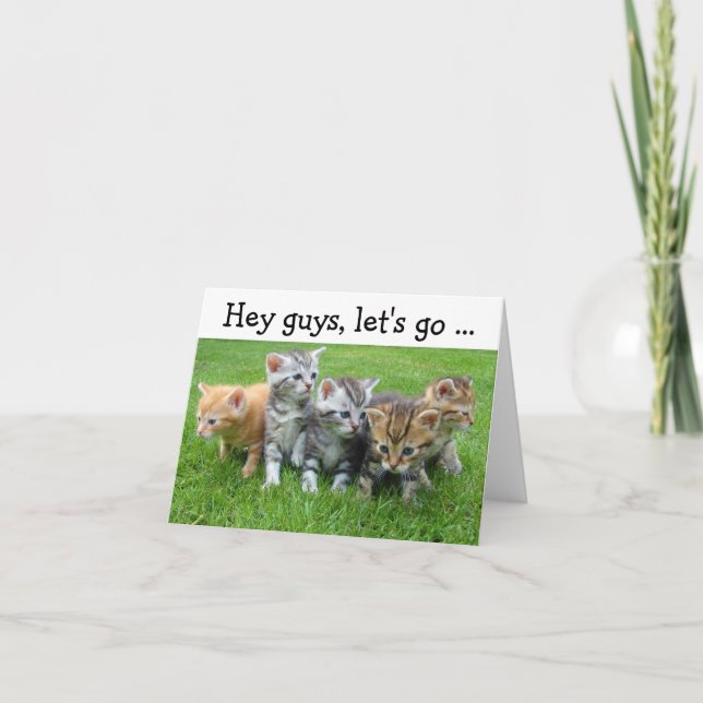 Happy Birthday Card with Kittens: Let's go (Front)