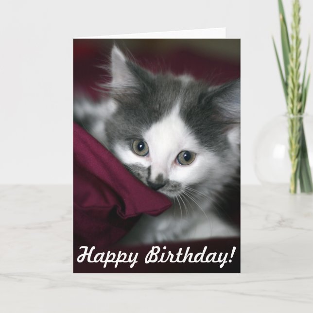 Happy Birthday Card with nice little Kitten! (Front)