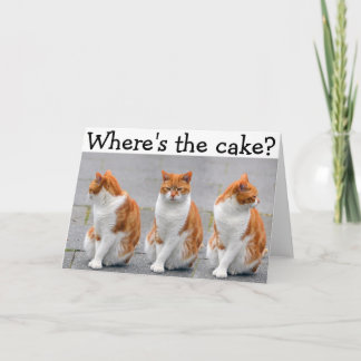 Happy Birthday Card with triple Cat