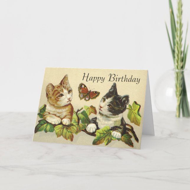 Happy Birthday Cards - Kittys (Front)