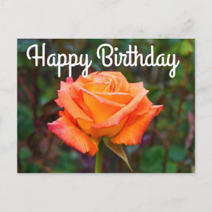 Happy Birthday Caribbean Rose #2 Postcard