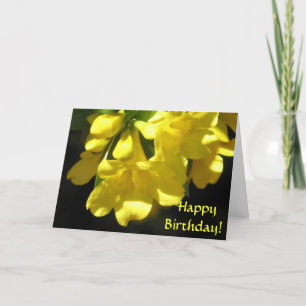 Happy Birthday! Carolina Jasmine card
