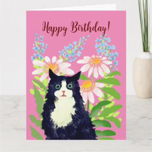 Happy birthday cat card