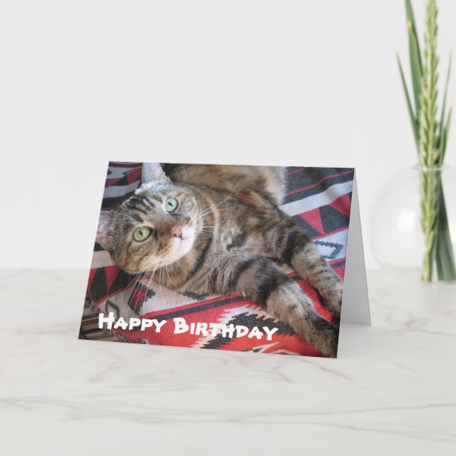 Happy Birthday Cat Card (Front)