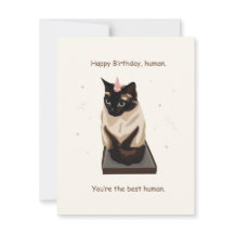 Happy Birthday Cat Card