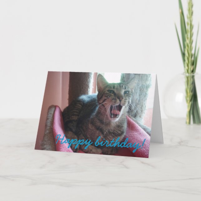 Happy Birthday cat greeting card (Front)