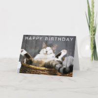 Happy Birthday | Cat in Bed