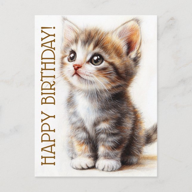 Happy Birthday, Cat Lady, Kitten Lover, Congrats  Postcard (Front)