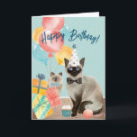Happy Birthday Cat Lover | Funny Editable Text Card<br><div class="desc">Cute illustration of a siamese cat wearing a party hat and bowtie. Text on the front and inside of the card is fully editable. Default texts reads "happy birthday" with "you are old!" on the inside, with a group of shocked kitty faces reacting to just how old you are. This...</div>
