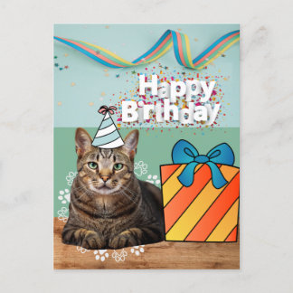 Happy birthday cat postcard