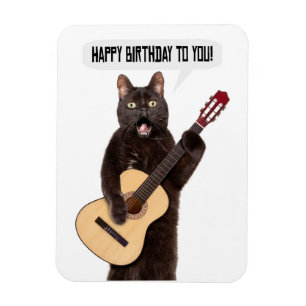 Happy Birthday Cat Singing and Playing Guitar Holi Magnet