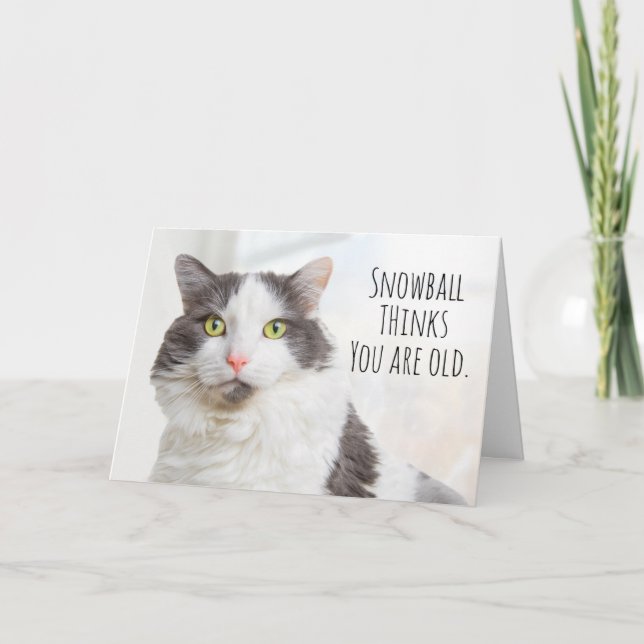 Happy Birthday Cat Thinks You Are Old Humor Holiday Card (Front)
