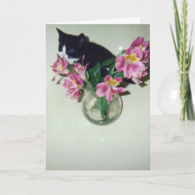 Happy Birthday cat with flowers in vase Card (Front)
