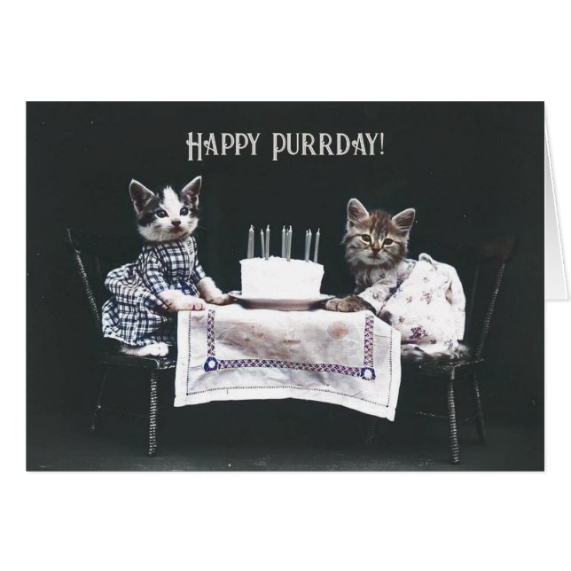 Happy Birthday Cats Vintage Blank Folded Card (Front Horizontal)