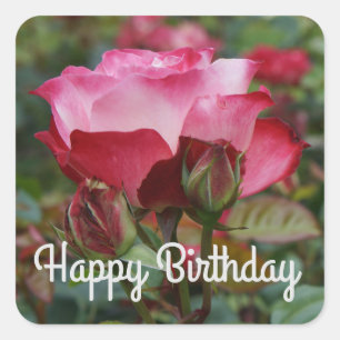 Happy Birthday Cherry Parfait Rose #1-2 Stickers