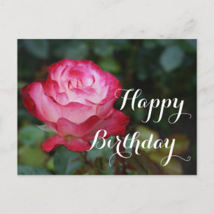 Happy Birthday Cherry Parfait Rose #3 Postcard