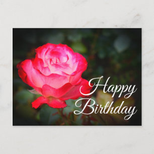 Happy Birthday Cherry Parfait Rose #3 Postcard