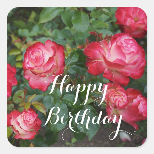 Happy Birthday Cherry Parfait Rose #5-1 Stickers (Front)