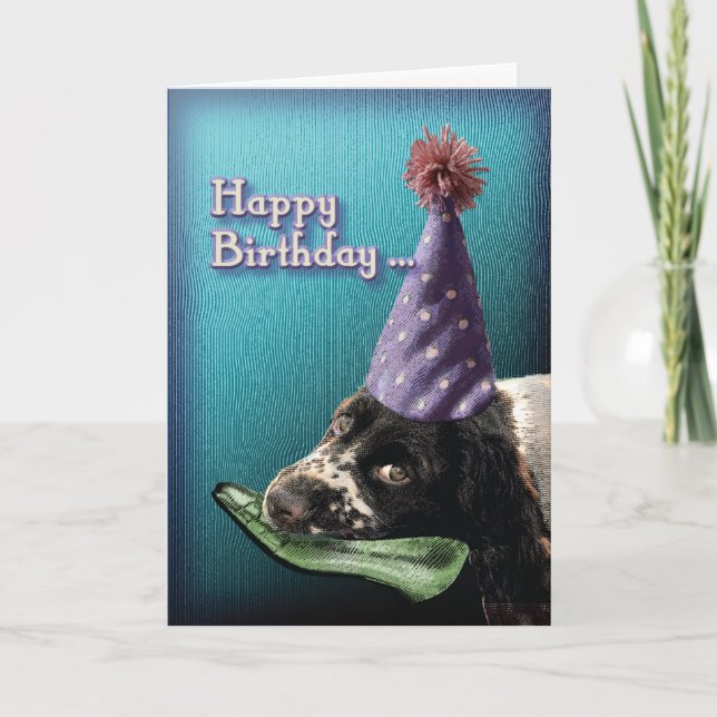 Happy Birthday chew shoe.... Card (Front)