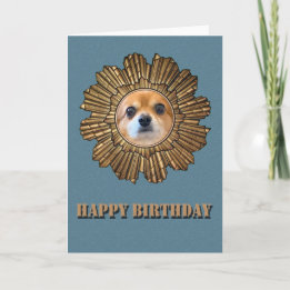 Happy Birthday Chihuahua  Card