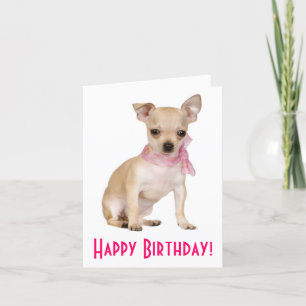 Happy Birthday Chihuahua Puppy Dog Greeting Card