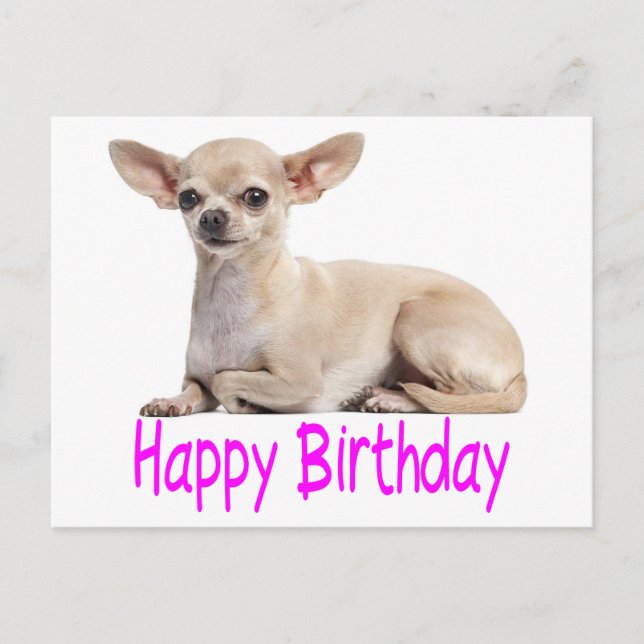 Happy Birthday Chihuahua Puppy Dog Purple Verse Postcard (Front)